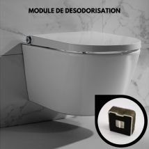 Filtre Anti Odeur Pour Cuvette Suspendue Japonaise Lavante Wc Clean - Bricoman