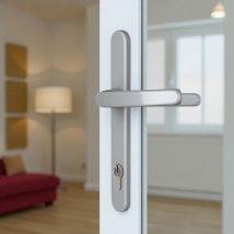 2 Poignées De Porte D'Entrée Sur Plaque Étroite Baltic, Euro Norme 8-92, Aluminium Gris Entraxe 195 Mm - Bricoman