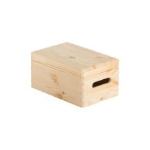 Caisse De Rangement Couvercle 20x15x9 Astigarraga - Cbt201509 - Bricoman