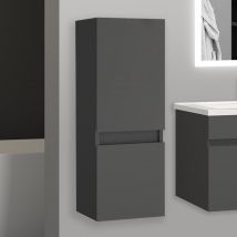 Aica 30(l)x30 x83(h)cm Meuble Salle De Bain Anthracite Meuble Colonne Salle De Bain À Suspendre - Bricoman