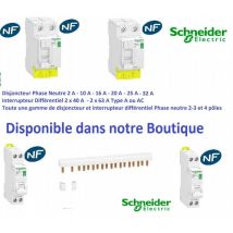 Disjoncteur Xp 1p+n 6a C - R9pfc606 - Bricoman
