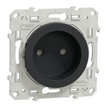 Odace Prise Bornes À Vis 2p - Anthracite - Bricoman