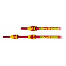 Manche Télescopique 4 M (2 X 2 M) Pour Échenilloir - Bricoman