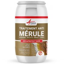 Traitement "anti Mérule" : Traitement Des Bois, Murs, Caves, Charpente - 200 L - Arcane Industries - Bricoman