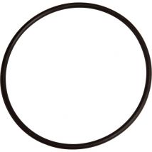 Joint De Cuve Pour Filtre À Eau Double - Apic - Bricoman