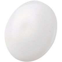 Cache Vis Plastique Blanc - Vis À Trou - Sachet De 500 Pièces - Spax - Bricoman