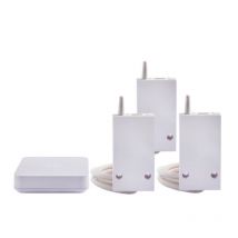 Pack Pilotage Connecté Pour Radiateurs Électriques Rf 6600 Fp Delta Dore - Bricoman