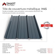 Tôle Bac Acier - Toiture - Couverture - Plaque Tr45 Coloris Gris Bleu Ral 5008 Dimensions 2000x1050x0.63mm - Bricoman