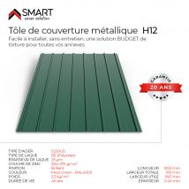 Tôle Bac Acier - Toiture - Couverture - Plaque H12 Coloris Vert Mousse Ral 6005 Dimensions 1200x910x0.40 Mm - Bricoman