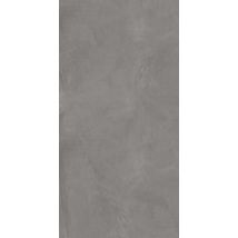 Carrelage Sol/mur Effet Pierre Gris Moyen Artech Grey L.120 X L.60 Cm - Bricoman