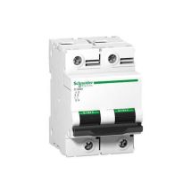 Disjoncteur 125 A - C120n - 2p - Courbe B - 10 Ka - Tecnomat
