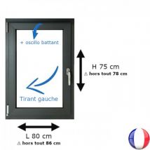 Fenêtre Pvc 1 Vantail H 75 X L 80 Cm Ob Anthracite Pour Pose En Neuf - Tirant Gauche - Bricoman