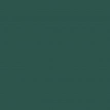Peinture Bois Exotique - Vert Pin - Ral 6028 - 5 L - Métaltop - Bricoman