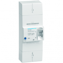 Disjoncteur De Branchement Différentiel 2p 60a 500ma Selectif - Hager - Hda260sf - Bricoman
