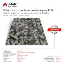 Tôle Bac Acier - Toiture - Couverture - Plaque H12 Coloris Camouflage Printech Dimensions 2000x910x0.40 Mm - Bricoman