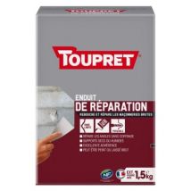 Enduit De Rebouchage Réparation Maçonnerie Extérieur Poudre 1.5kg Toupret - Tecnomat
