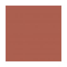 Peinture Bitume, Goudron, Enrobé - Arcasphalt - 15 Kg (jusqu'à 30 M² En 2 Couches) Tuile - Arcane Industries - Bricoman