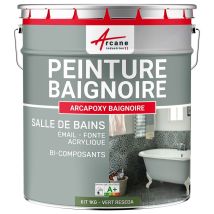 Peinture Baignoire Lavabo - Résine Époxy Pour Rénovation - 1 Kg (jusqu'à 3 M² En 2 Couches) Vert Réséda - Ral 6011 - Arcane Industries - Tecnomat