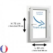 Fenêtre Pvc 1 Vantail H 75 X L 60 Cm Of Pour Pose En Neuf Avec Poignée - Tirant Droit - Bricoman