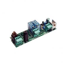 Carte Électronique Came Pour Portail Et Garage - Bricoman