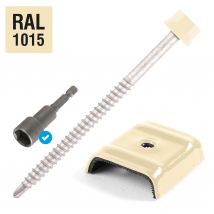 Kit 50 Fixations Bac Acier Sur Bois Ø6,3 X 100 Beige Ral1015 Scell-it - Bricoman