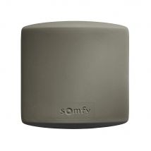 Récepteur Somfy Technologie Io 1841229 Pour Portails Et Garages - Bricoman