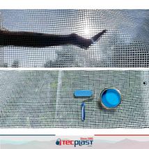 Bâche Peinture 4x6 M - Tecplast - Tr170pe - Bâche Armée Transparente - Haute Qualité - Bâche De Protection Peinture Sol Et Meuble - Bricoman