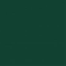 Peinture Multi-supports Ral 6005 Ral Vert Basque - Bricoman