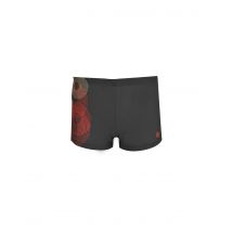 Bañador ras robin niño titanium