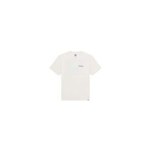 Camiseta dickies burns ss hombre egret