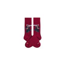 Calcetines jimmy lion harry potter the boy who lived burgundy