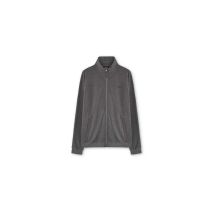 Chaqueta astore radu hombre gris