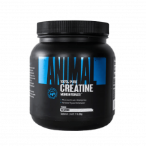 Animal Creatine Powder | Universal | Sans saveur | 500 grammes