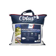 Oreiller Ferme 60x60cm Percale Signature Colas Normand
