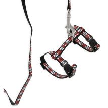 Harnais Et Laisse Motif Fleurs Noir Rouge Et Blanc Chapuis Sellerie