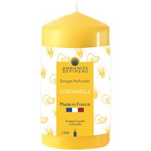 Bougie Anti-moustiques 35h Cylindrique Citronnelle 5,8cm H11cm Devineau