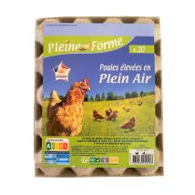 Pleine Forme - Oeufs Plein Air Pleine Forme - La Boite De 20 Oeufs