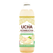 Boisson Pétillante Au Thé Fermenté Gingembre Bio Ucha