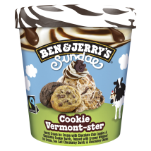 Glace En Pot Sundae Cookie Ben & Jerry's