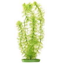 Marina Décoration Pour Aquarium Hornwort 30 Cm