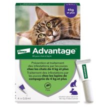 Advantage Anti-puces Chat & Lapin (> 4 Kg) - 4 Pipettes