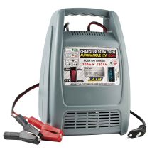 Chargeur De Batterie 120 Ah Automatique