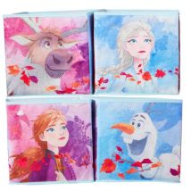 Worlds Apart Lit Traîneau Pour Enfants La Reine Des Neiges De Disney Avec Espace De Rangement Sous Le Lit