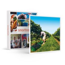 À La Découverte De Nos Vignobles