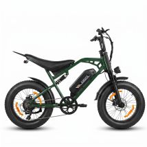 Vélo Électrique Eskute V202, 20" Fat Tire, Batterie 48v 20.8ah, Full Suspension, Vert
