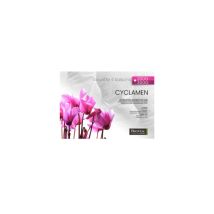 Couette Biotex Cyclamen 260 X 240 Cm
