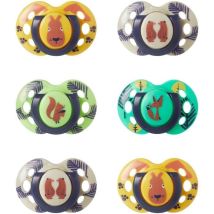 Sucettes - Tommee Tippee - Fun - 18-36 Mois - Lot De 6 - Forme Orthodontique Symétrique - Silicone Sans Bpa