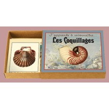 J Apprends A Reconnaitre - Les Coquillages