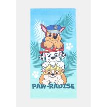 Serviette De Plage Bleu Imprimé 100% Coton Finition Velours 75x150cm Paw Patrol Nickelodeon