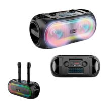 Haut-parleurs Bluetooth Portables Reig